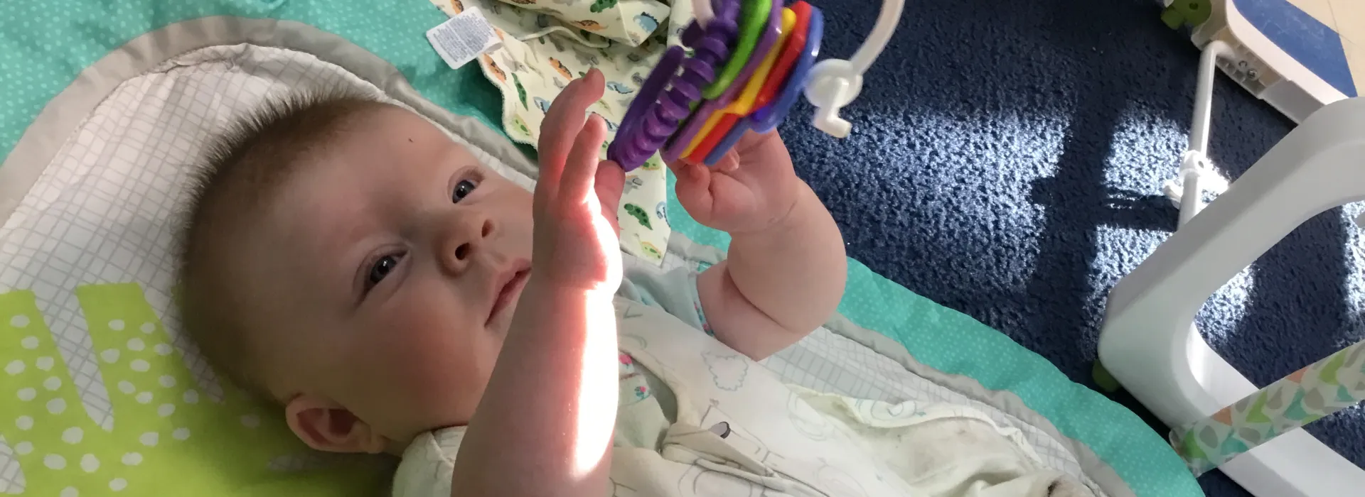 engaging in fun enrichment toys